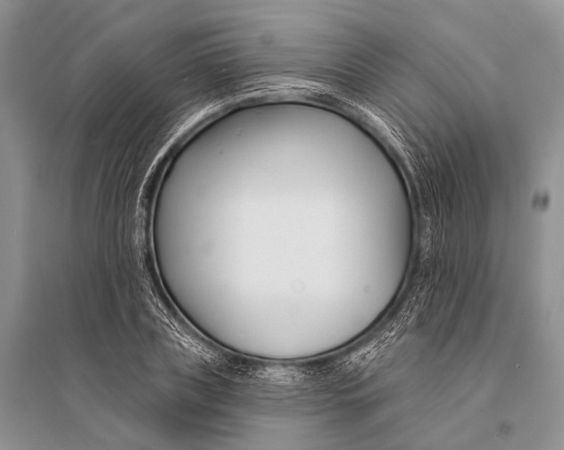 X0000094920835200712201218