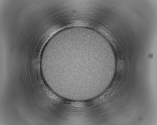 X0000094920836200712201218