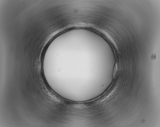 X0000094920837200712201218