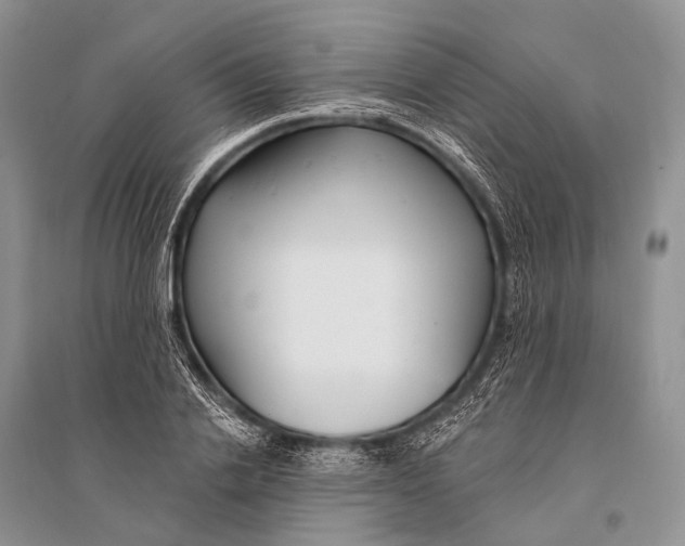 X0000094920838200712201218