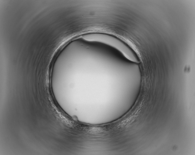 X0000094920839200712201218