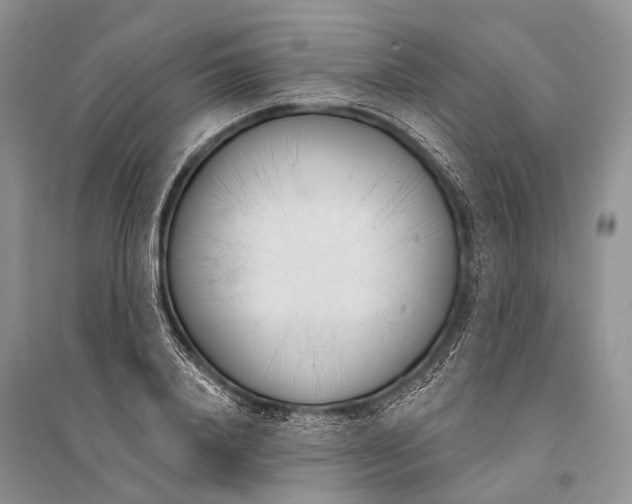 X0000094920840200712201218