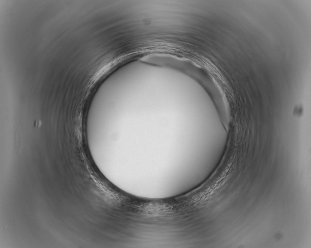 X0000094920842200712201218