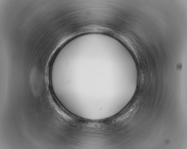 X0000094920843200712201218