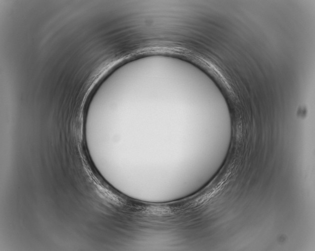 X0000094920844200712201218