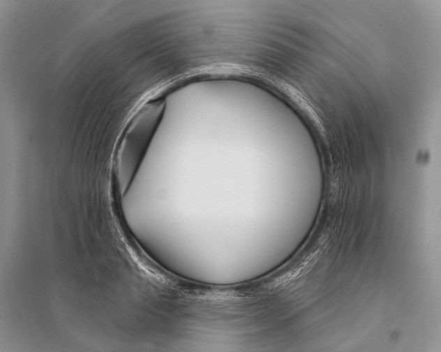 X0000094920845200712201218