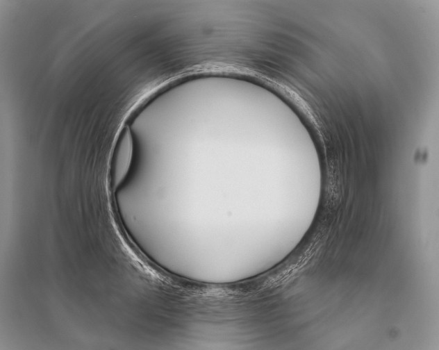 X0000094920847200712201218