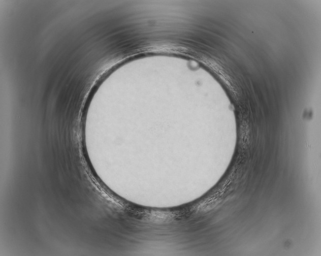 X0000094920848200712201218