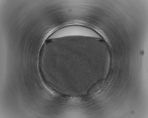 X0000094920850200712201218