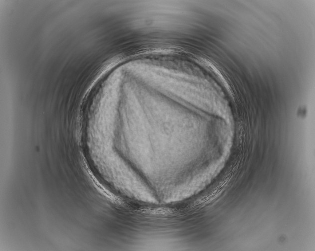 X0000094920851200712201218