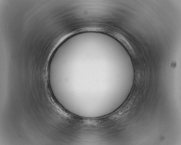 X0000094920852200712201218