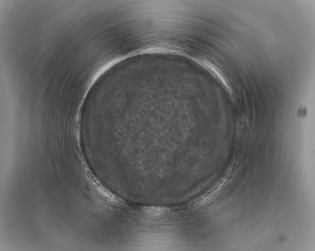 X0000094920854200712201218