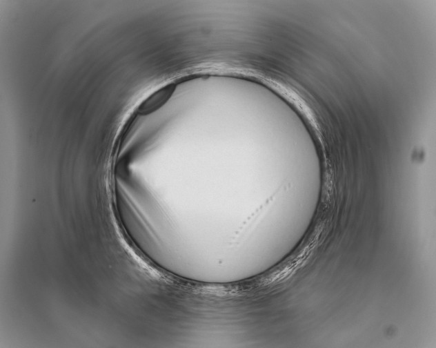 X0000094920855200712201218