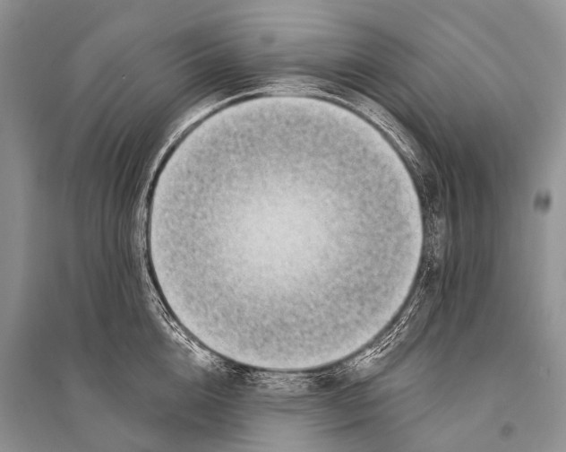 X0000094920856200712201218