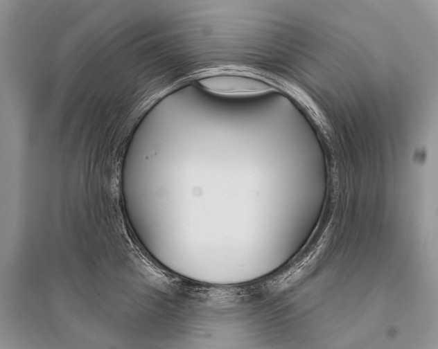 X0000094920857200712201218