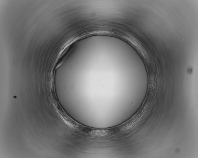 X0000094920858200712201218