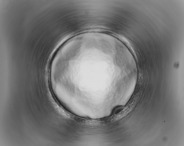 X0000094920859200712201218