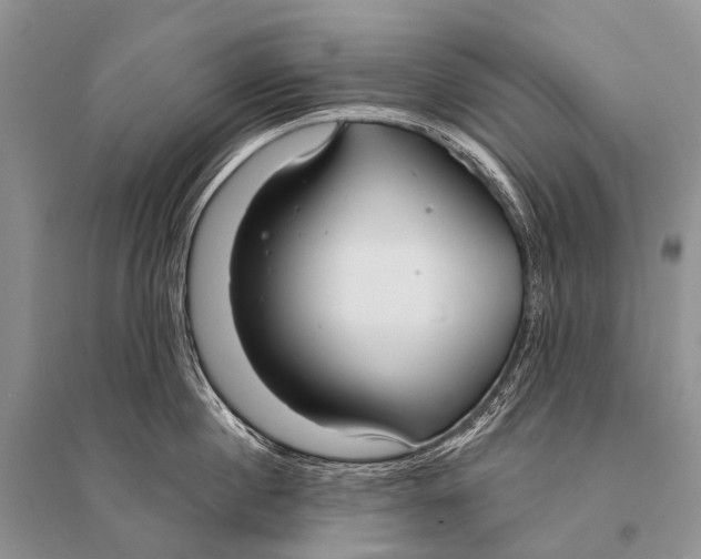 X0000094920860200712201218