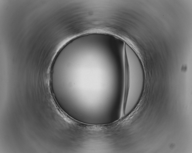 X0000094920862200712201218