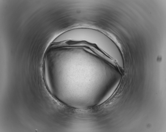 X0000094920863200712201218