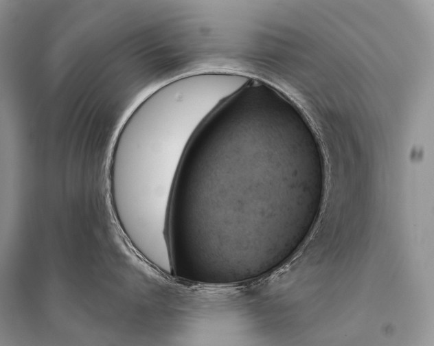 X0000094920864200712201218