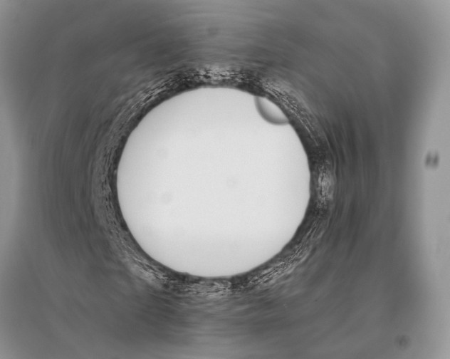 X0000094920865200712201217