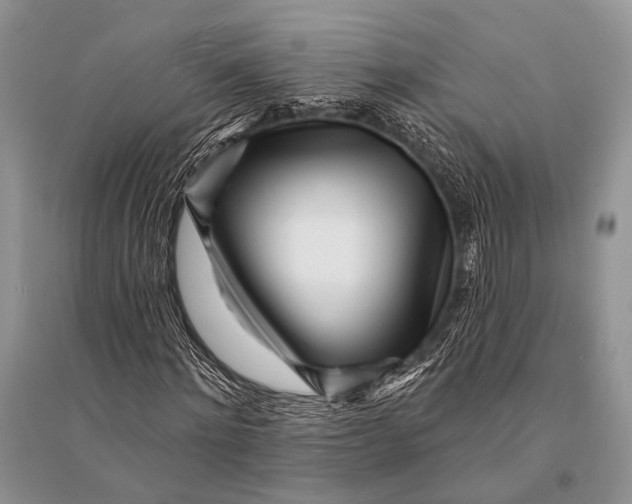 X0000094920868200712201217