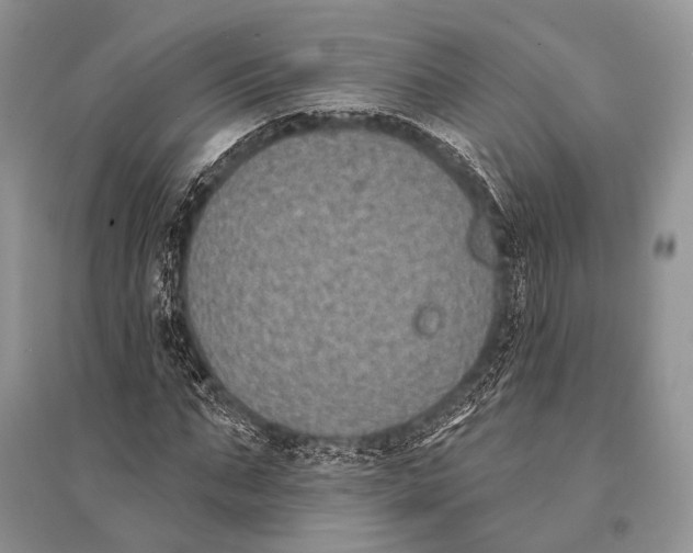 X0000094920871200712201217