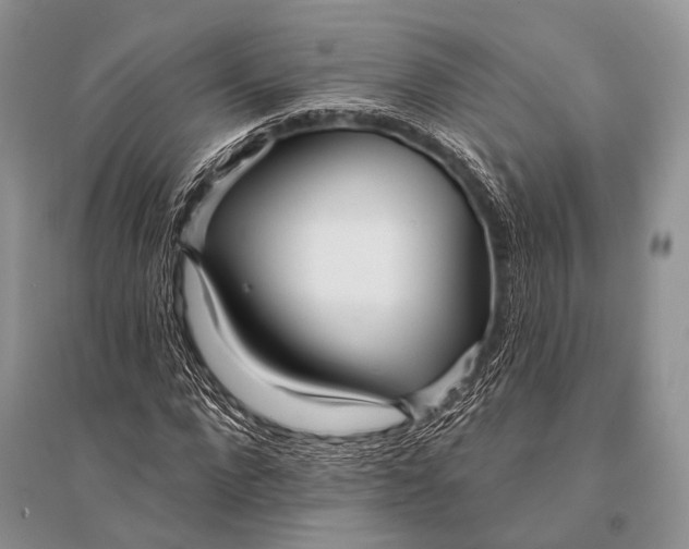 X0000094920872200712201217