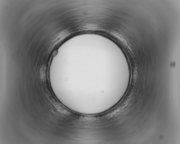 X0000094920873200712201217