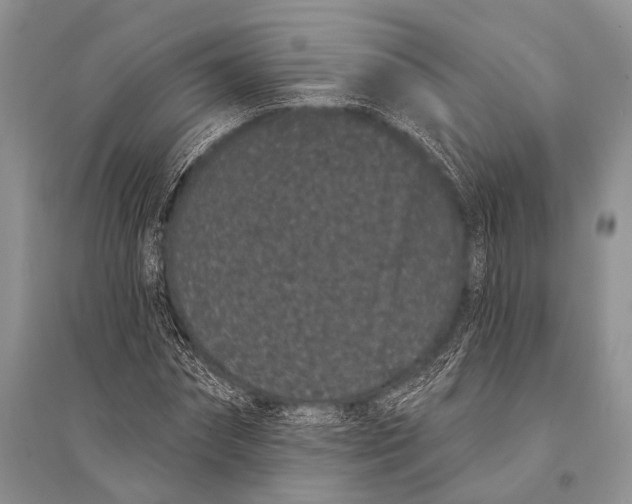 X0000094920874200712201217