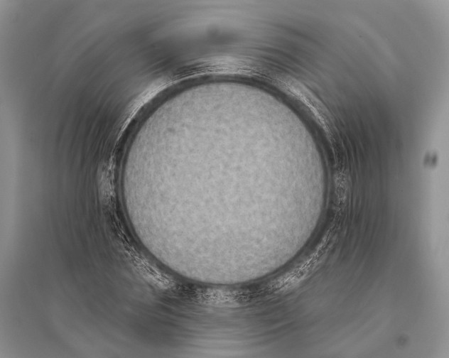 X0000094920875200712201217