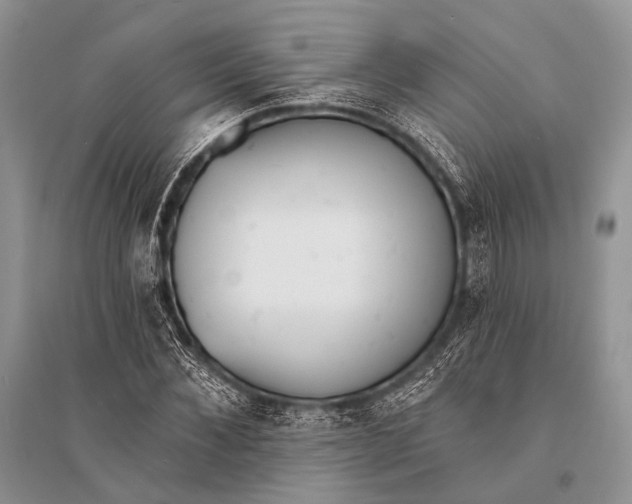 X0000094920876200712201217