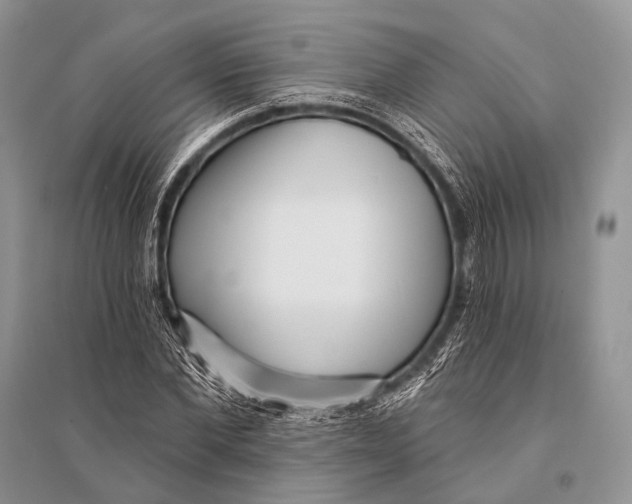 X0000094920877200712201217