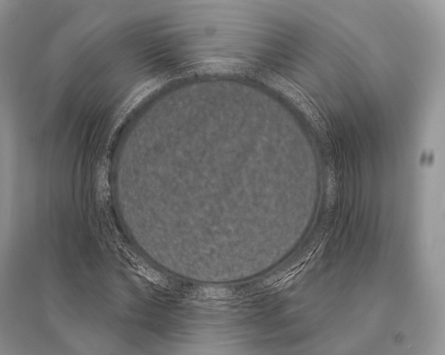 X0000094920878200712201217