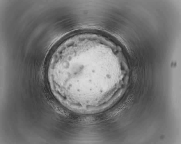 X0000094920879200712201217