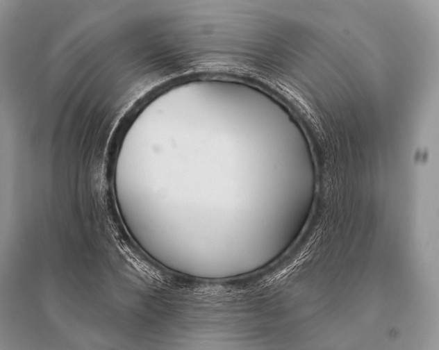 X0000094920880200712201217