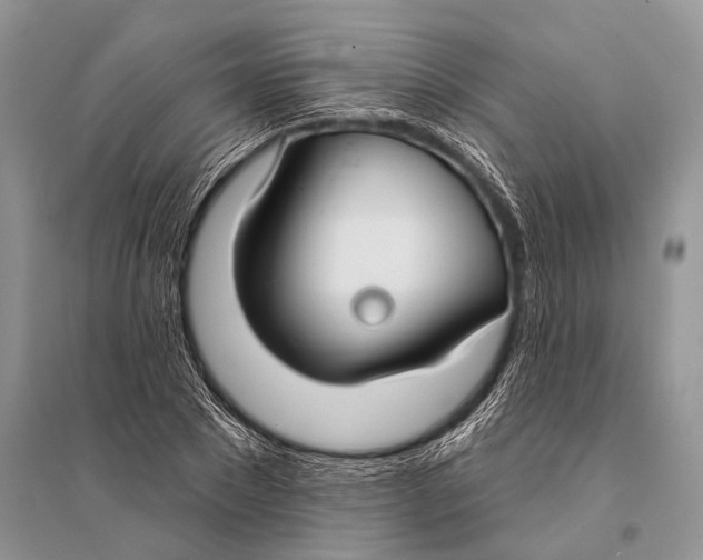 X0000094920881200712201217