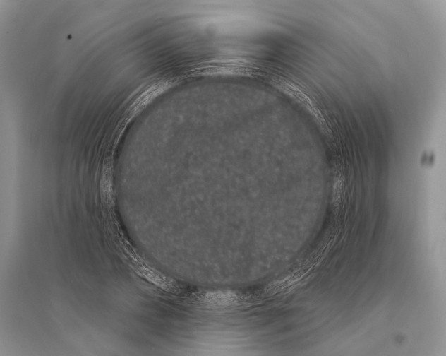 X0000094920882200712201217