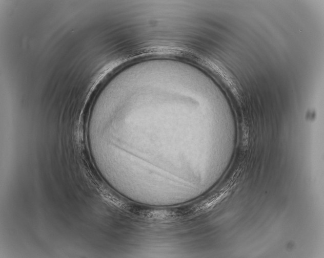 X0000094920883200712201217