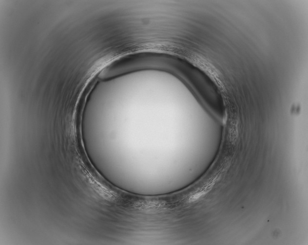 X0000094920884200712201217