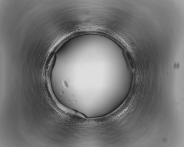 X0000094920885200712201217