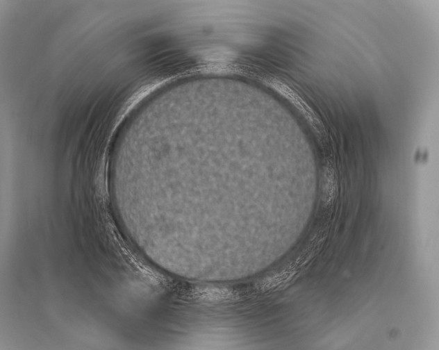 X0000094920886200712201217