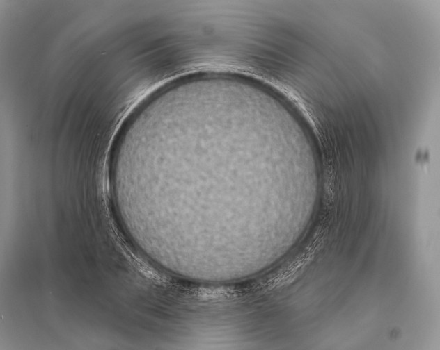 X0000094920887200712201217