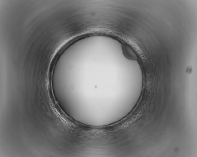 X0000094920888200712201217