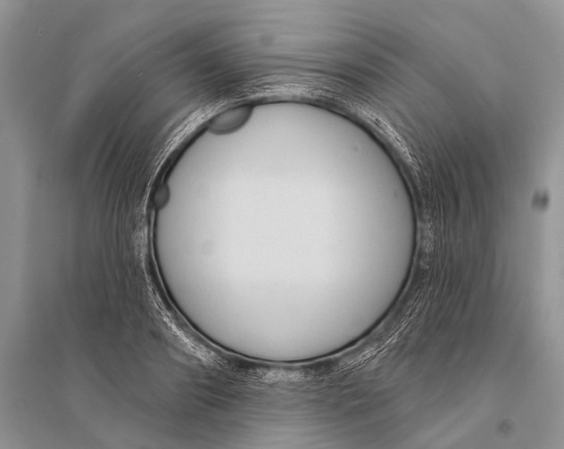 X0000094920890200712201217