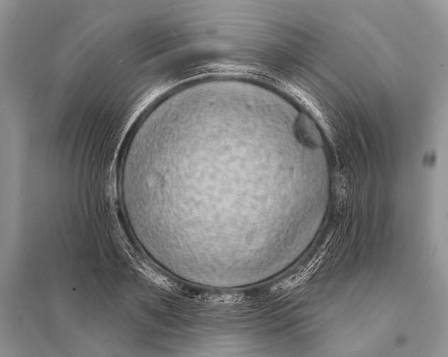 X0000094920891200712201217