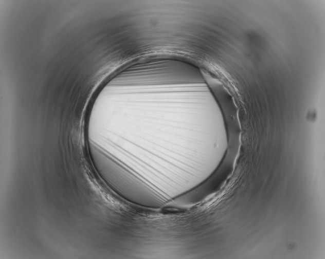 X0000094920892200712201217