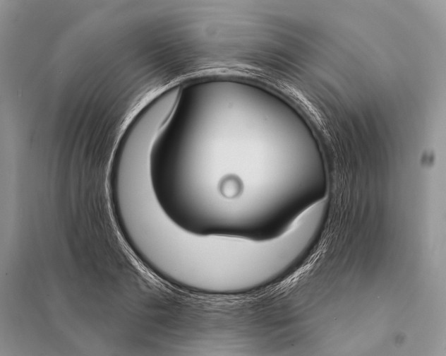 X0000094920893200712201217