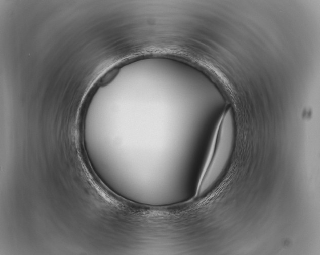 X0000094920894200712201217